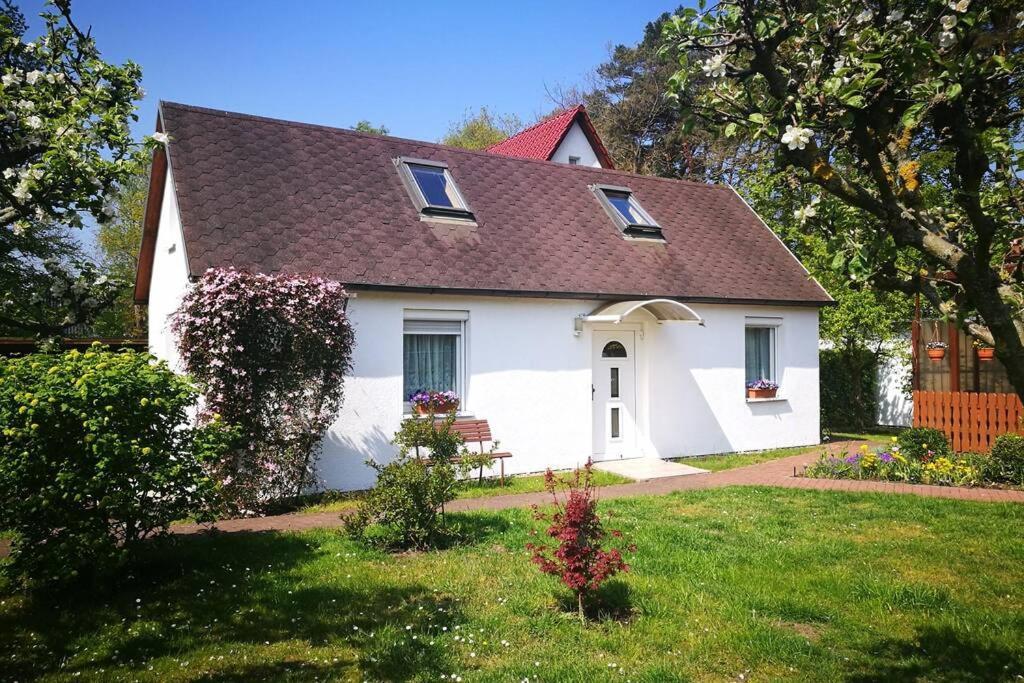 Ferienhaus Im Igelbau Бабе Экстерьер фото